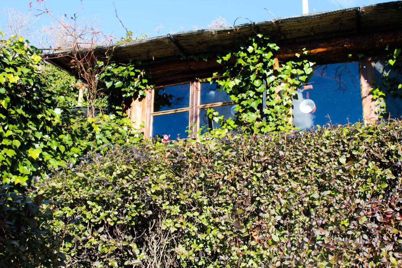 "Casa Ibero" Bubion, Alojamiento Turistico Rural Eksteriør billede