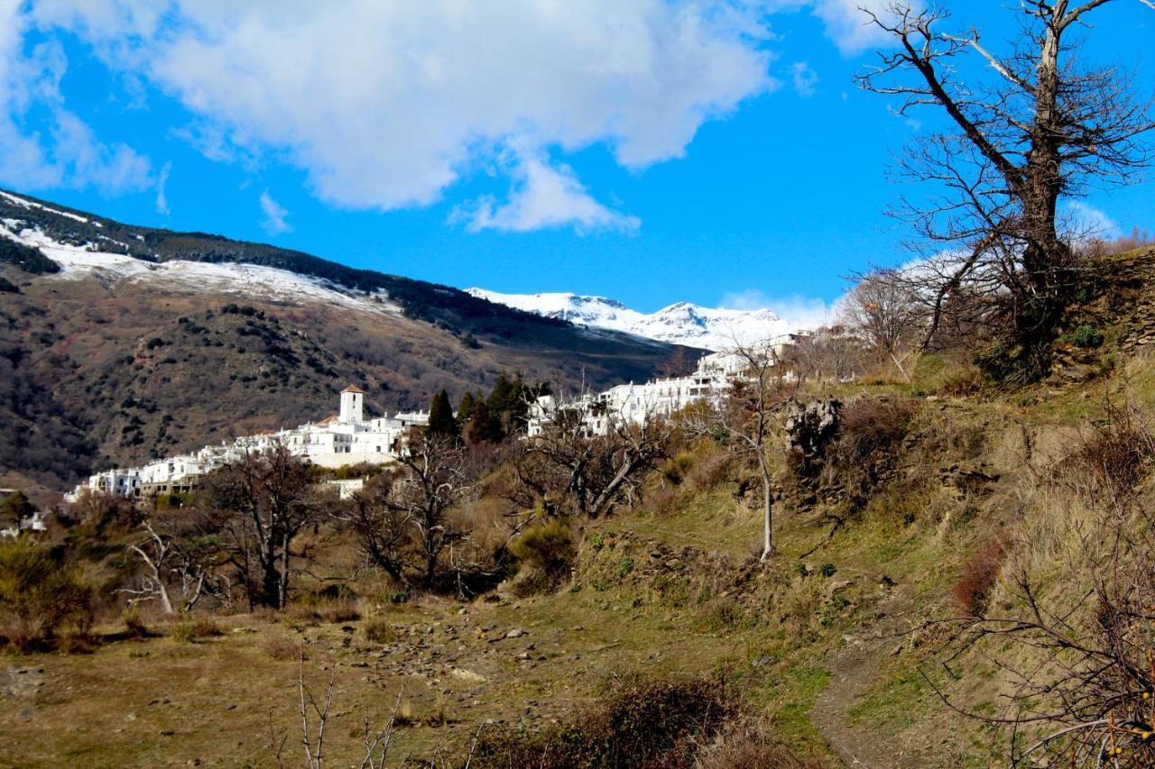 "Casa Ibero" Bubion, Alojamiento Turistico Rural Eksteriør billede