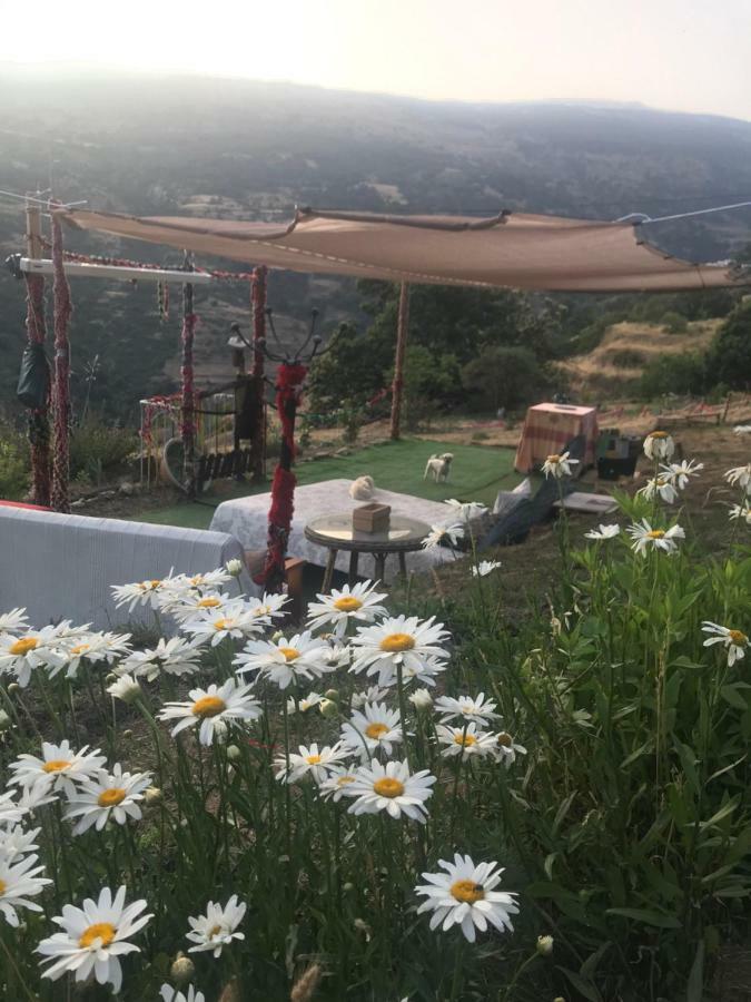 "Casa Ibero" Bubion, Alojamiento Turistico Rural Eksteriør billede