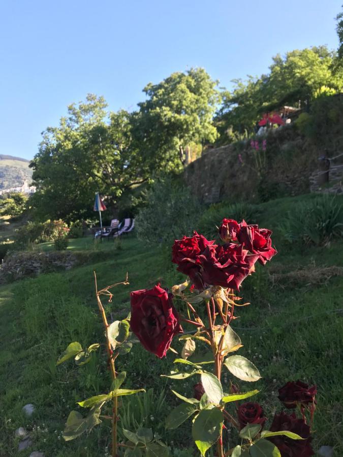 "Casa Ibero" Bubion, Alojamiento Turistico Rural Eksteriør billede